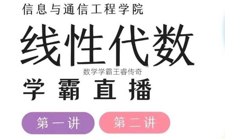 数学学霸王睿传奇