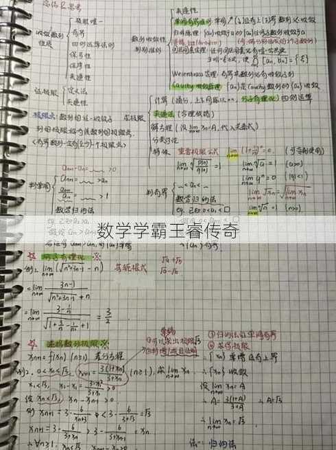 数学学霸王睿传奇