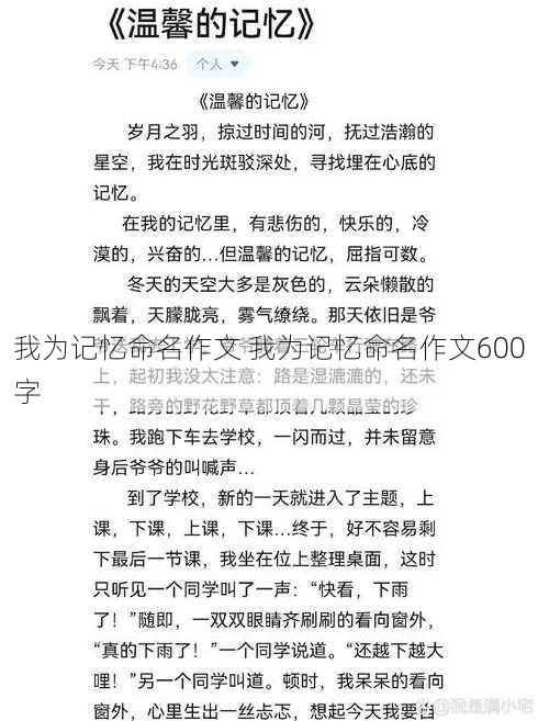 我为记忆命名作文 我为记忆命名作文600字