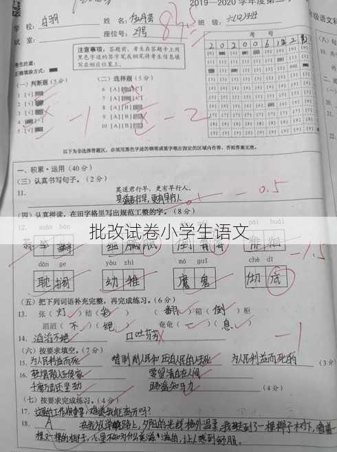 批改试卷小学生语文