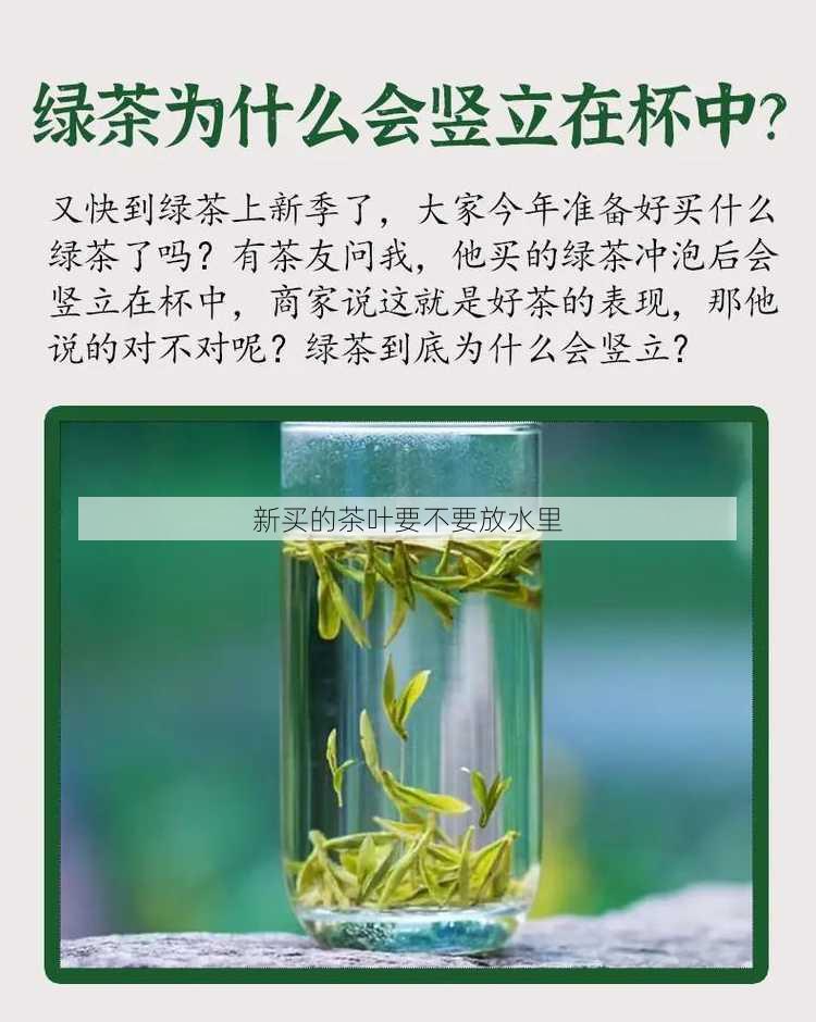 新买的茶叶要不要放水里