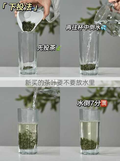 新买的茶叶要不要放水里