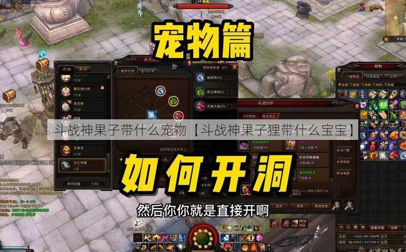 斗战神果子带什么宠物【斗战神果子狸带什么宝宝】