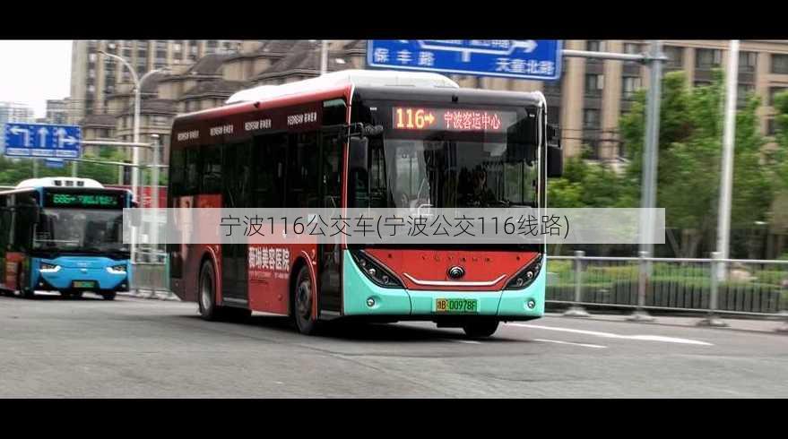 宁波116公交车(宁波公交116线路)