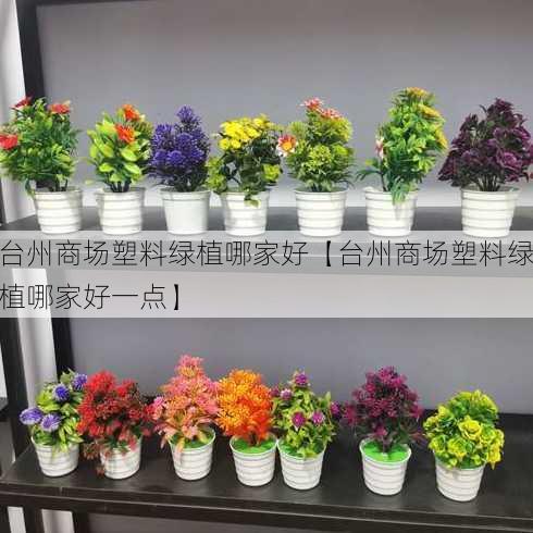 台州商场塑料绿植哪家好【台州商场塑料绿植哪家好一点】