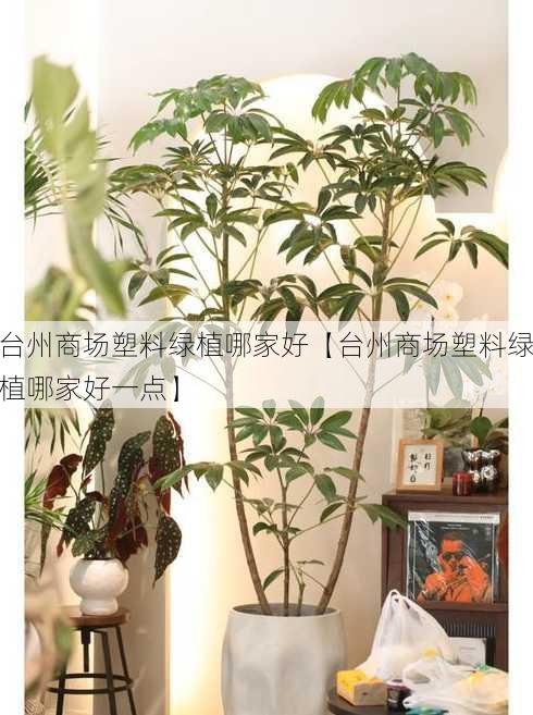 台州商场塑料绿植哪家好【台州商场塑料绿植哪家好一点】