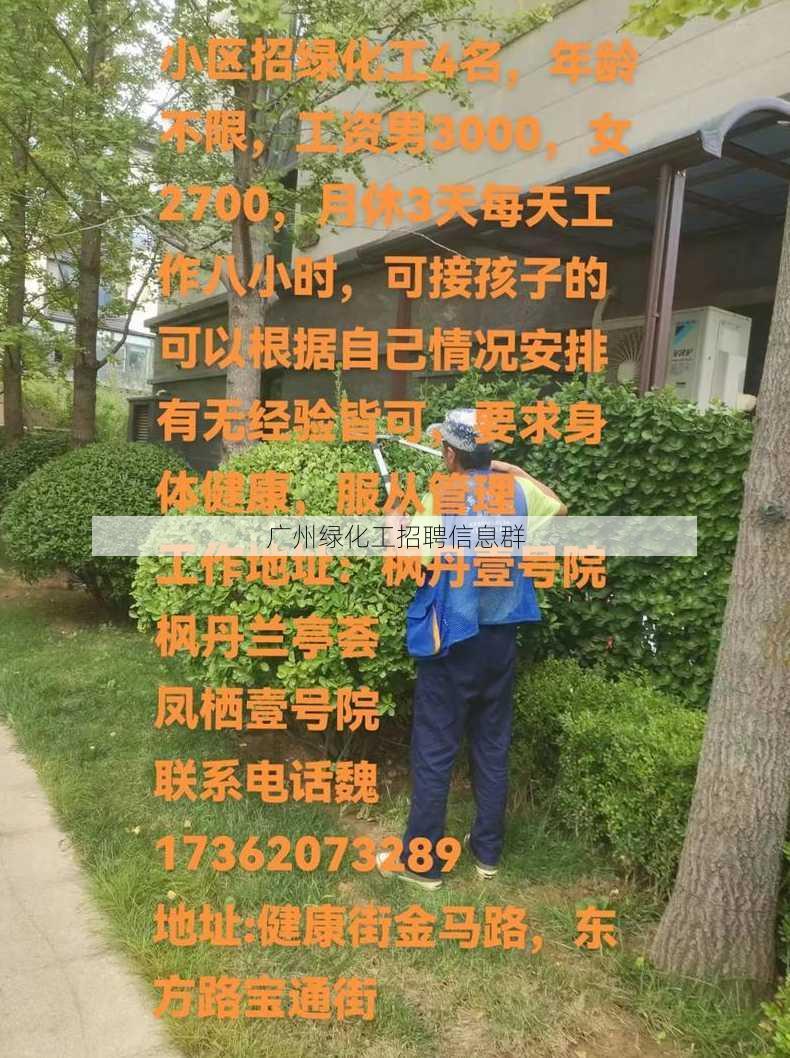 广州绿化工招聘信息群