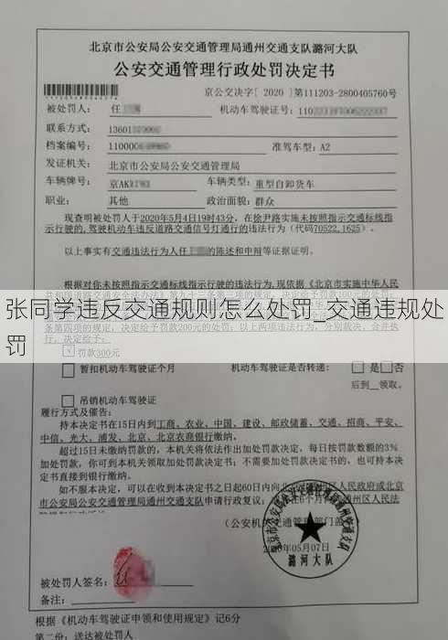 张同学违反交通规则怎么处罚_交通违规处罚