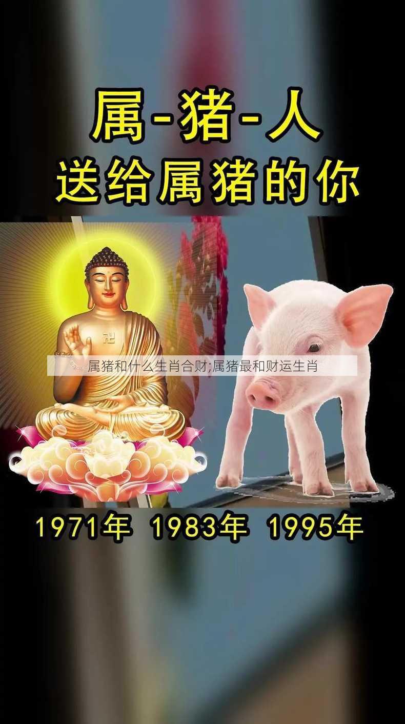 属猪和什么生肖合财;属猪最和财运生肖