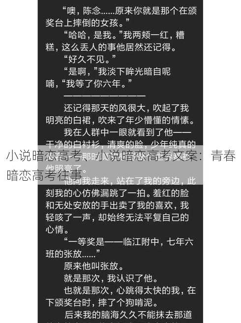 小说暗恋高考、小说暗恋高考文案：青春暗恋高考往事