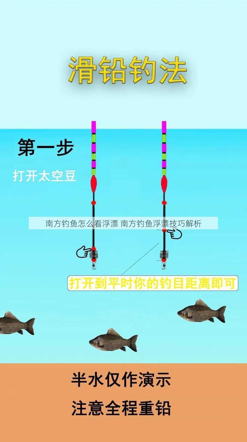 南方钓鱼怎么看浮漂 南方钓鱼浮漂技巧解析