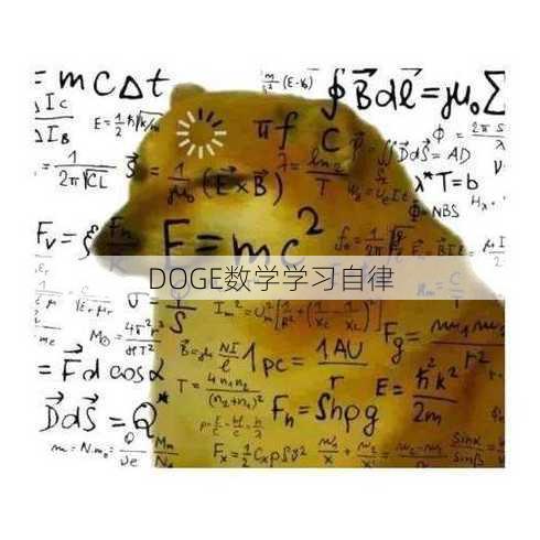 DOGE数学学习自律