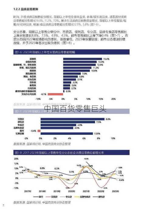 中国百货零售巨头