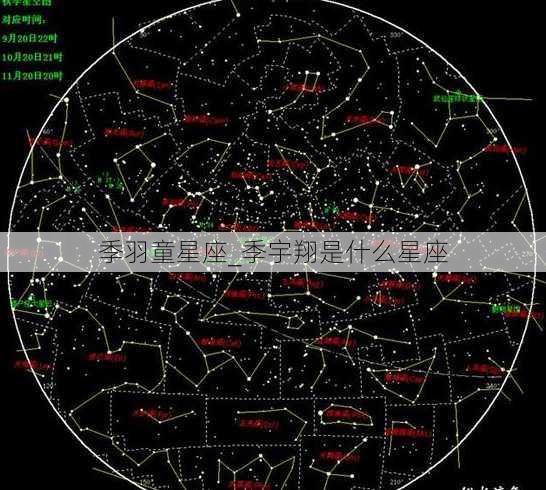 季羽童星座_季宇翔是什么星座