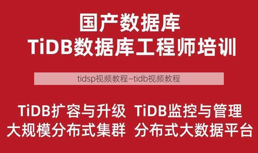 tidsp视频教程—tidb视频教程