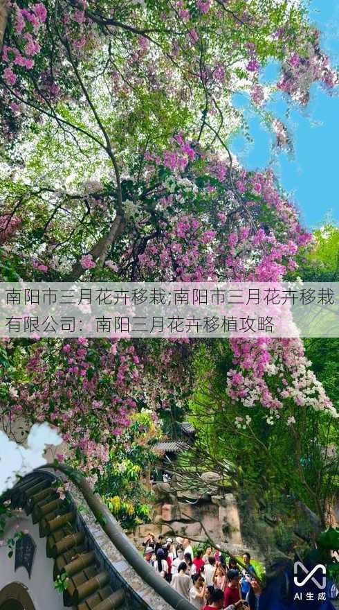 南阳市三月花卉移栽;南阳市三月花卉移栽有限公司：南阳三月花卉移植攻略