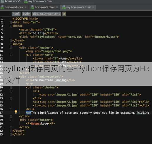 python保存网页内容-Python保存网页为Har文件