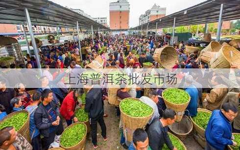 上海普洱茶批发市场