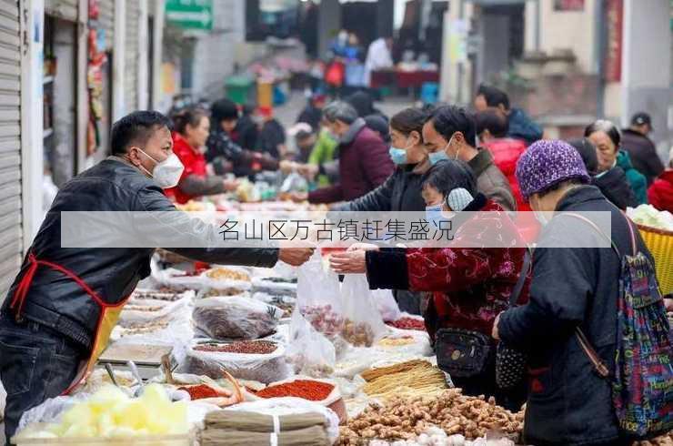 名山区万古镇赶集盛况