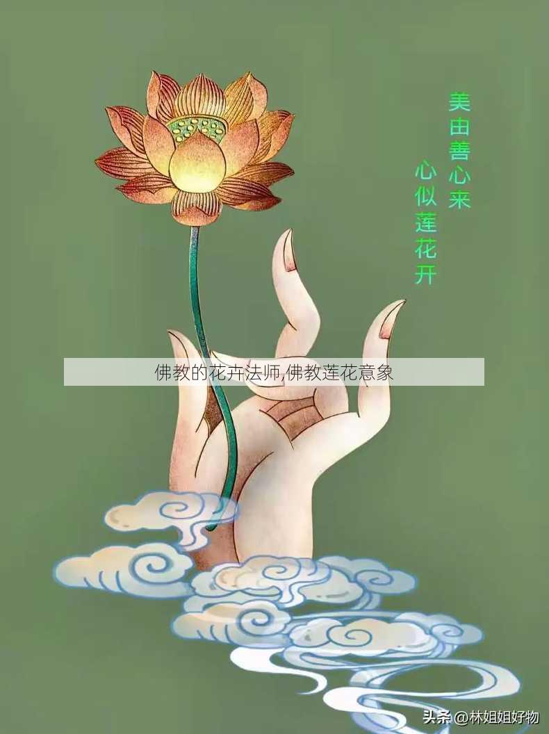 佛教的花卉法师,佛教莲花意象