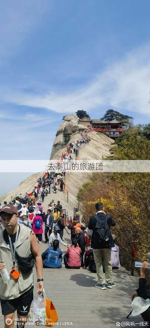 去泰山的旅游团