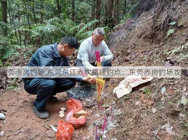 东莞赤岗钓场,东莞东江赤坎路段钓点：东莞赤岗钓场攻略