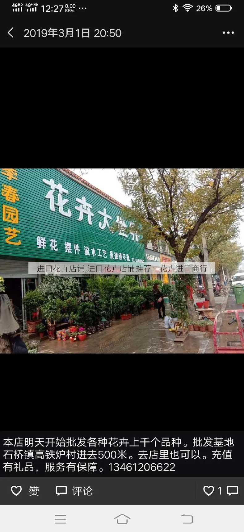 进口花卉店铺,进口花卉店铺推荐：花卉进口商行