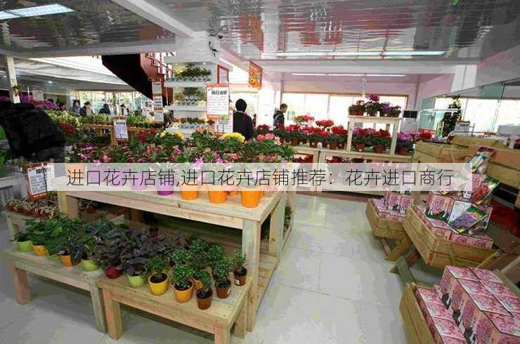 进口花卉店铺,进口花卉店铺推荐：花卉进口商行