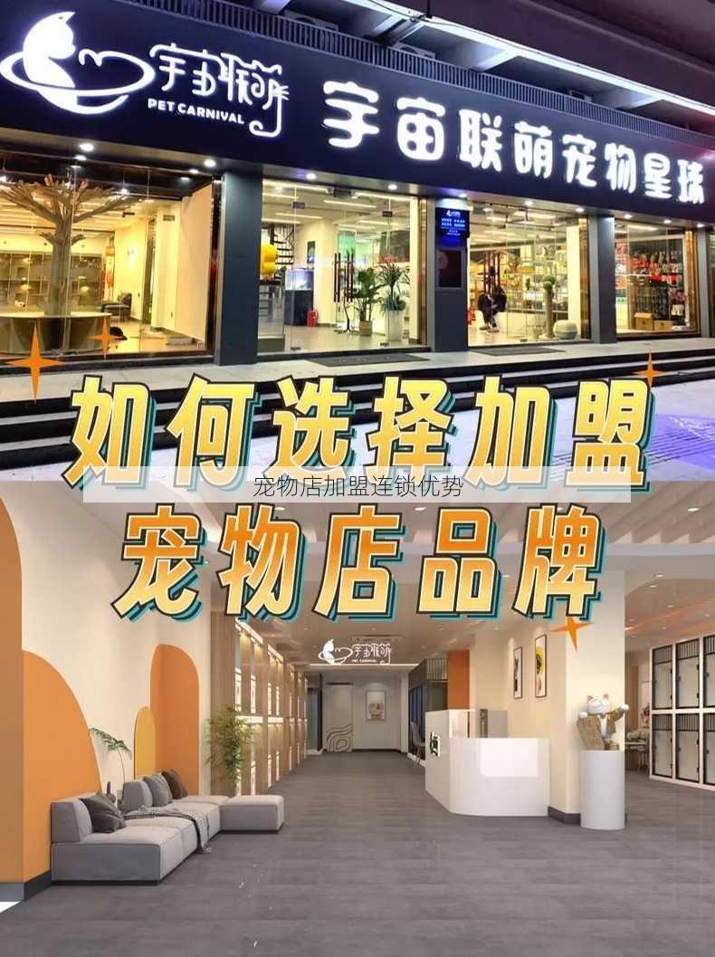 宠物店加盟连锁优势