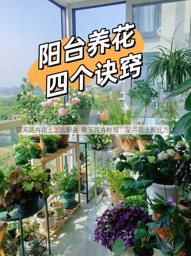 露天花卉花土怎么配置-露天花卉种植：花卉花土配比方法