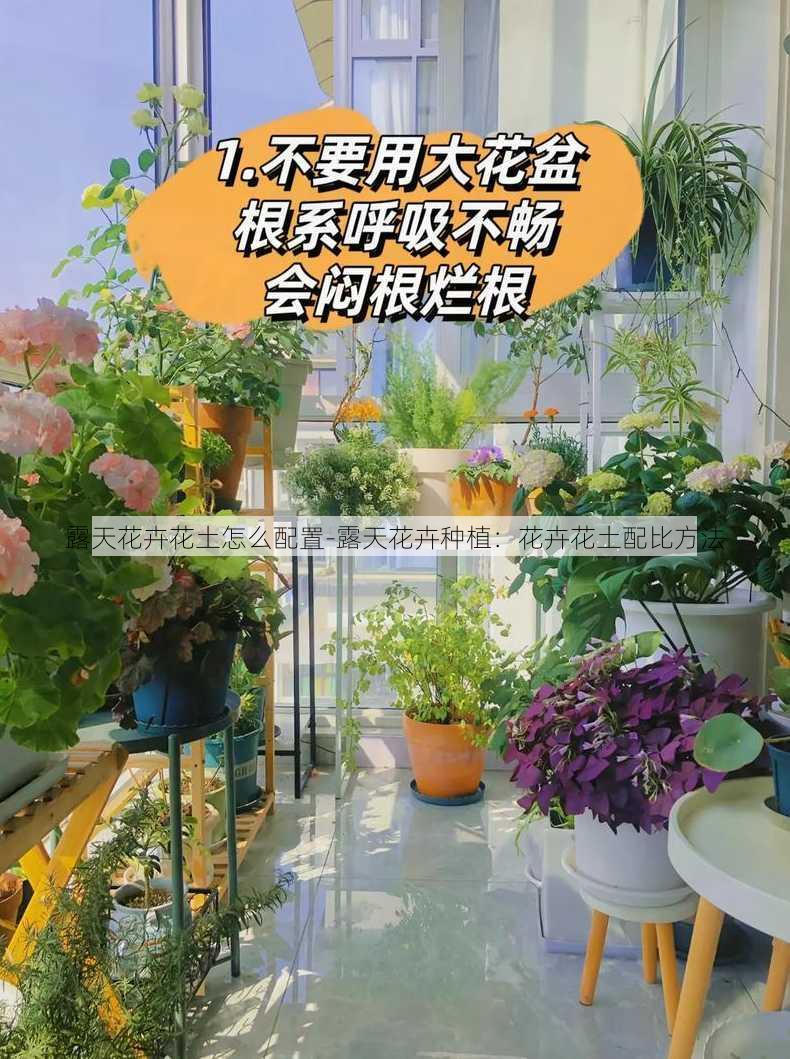 露天花卉花土怎么配置-露天花卉种植：花卉花土配比方法