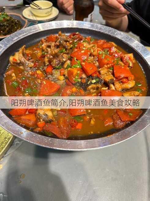 阳朔啤酒鱼简介,阳朔啤酒鱼美食攻略