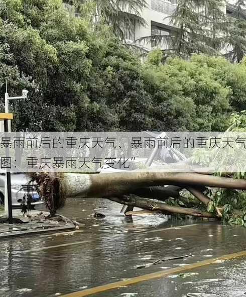 暴雨前后的重庆天气、暴雨前后的重庆天气图：重庆暴雨天气变化”