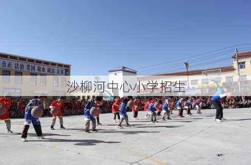 沙柳河中心小学招生