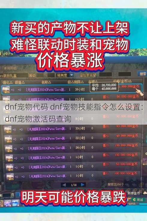 dnf宠物代码 dnf宠物技能指令怎么设置：dnf宠物激活码查询