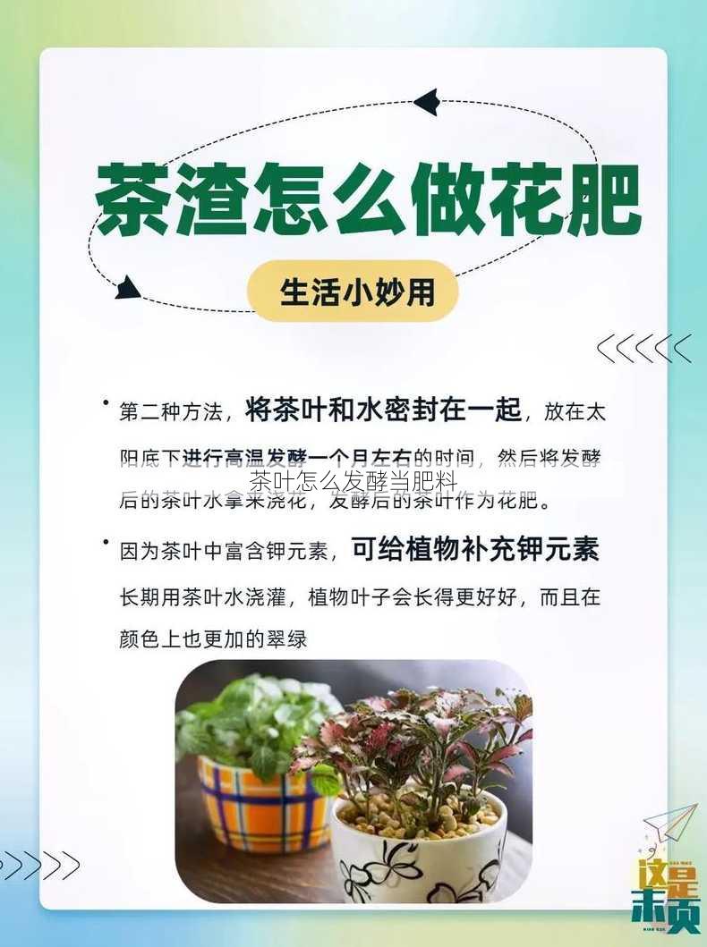 茶叶怎么发酵当肥料