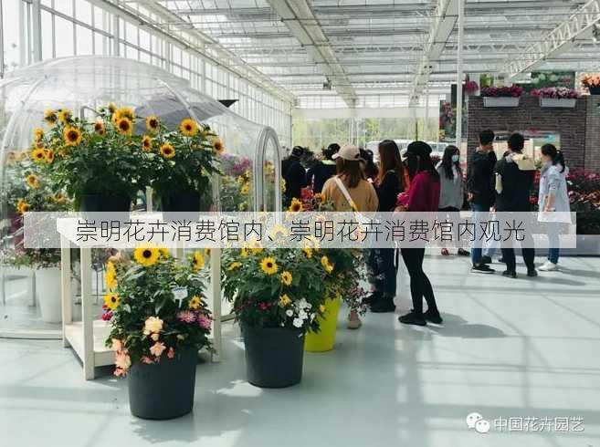 崇明花卉消费馆内、崇明花卉消费馆内观光