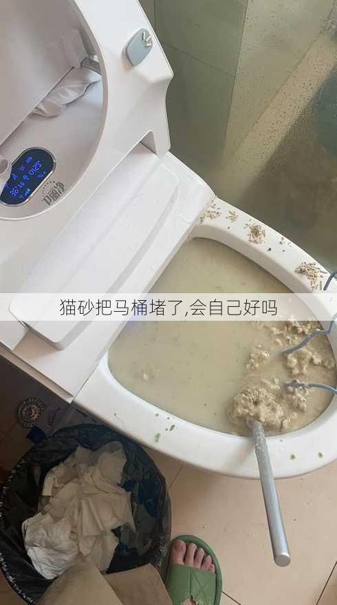 猫砂把马桶堵了,会自己好吗