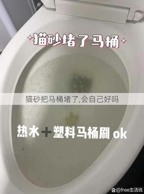 猫砂把马桶堵了,会自己好吗