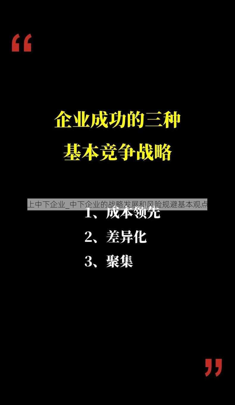 上中下企业_中下企业的战略发展和风险规避基本观点