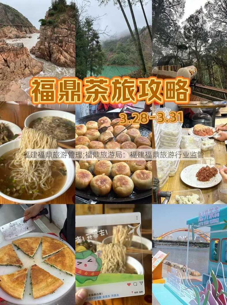 福建福鼎旅游管理;福鼎旅游局：福建福鼎旅游行业监管