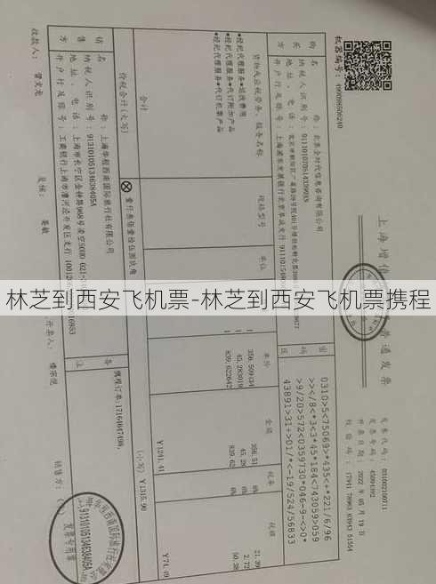 林芝到西安飞机票-林芝到西安飞机票携程