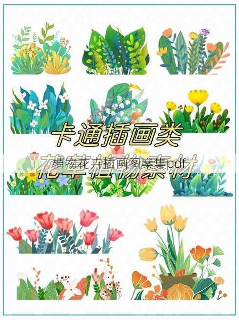 植物花卉插画图案集pdf