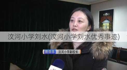 汶河小学刘水(汶河小学刘水优秀事迹)