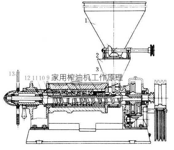 家用榨油机工作原理