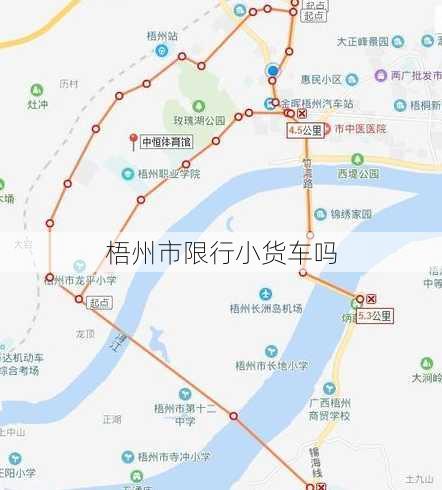 梧州市限行小货车吗