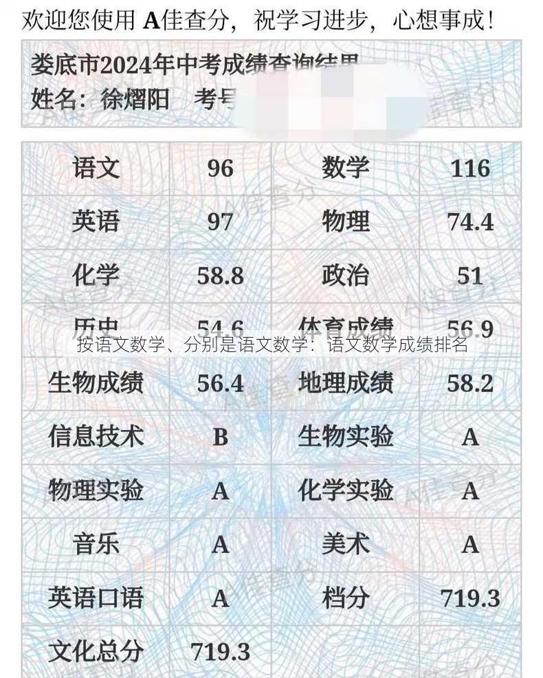 按语文数学、分别是语文数学：语文数学成绩排名