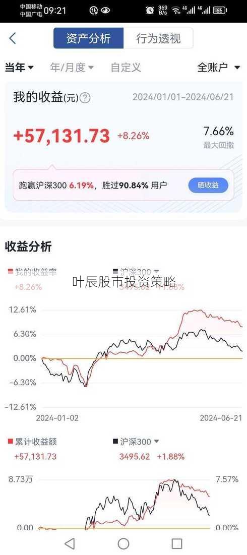 叶辰股市投资策略