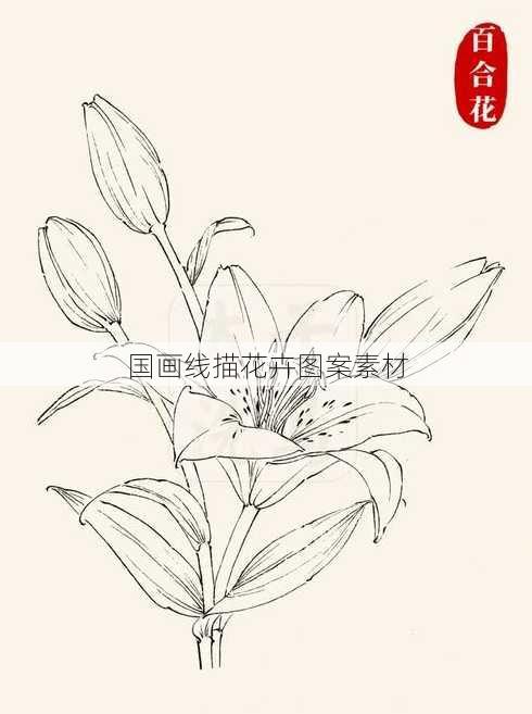 国画线描花卉图案素材