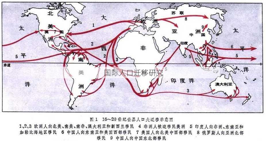 国际人口迁移研究